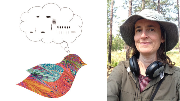 Abstract illustration of a bird with a thought bubble leading to a visualization of bird call sounds; and a photo of the speaker, Jill Soha.