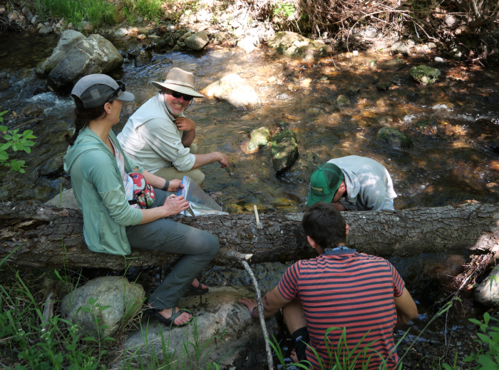 group collecting samples in California mountain river