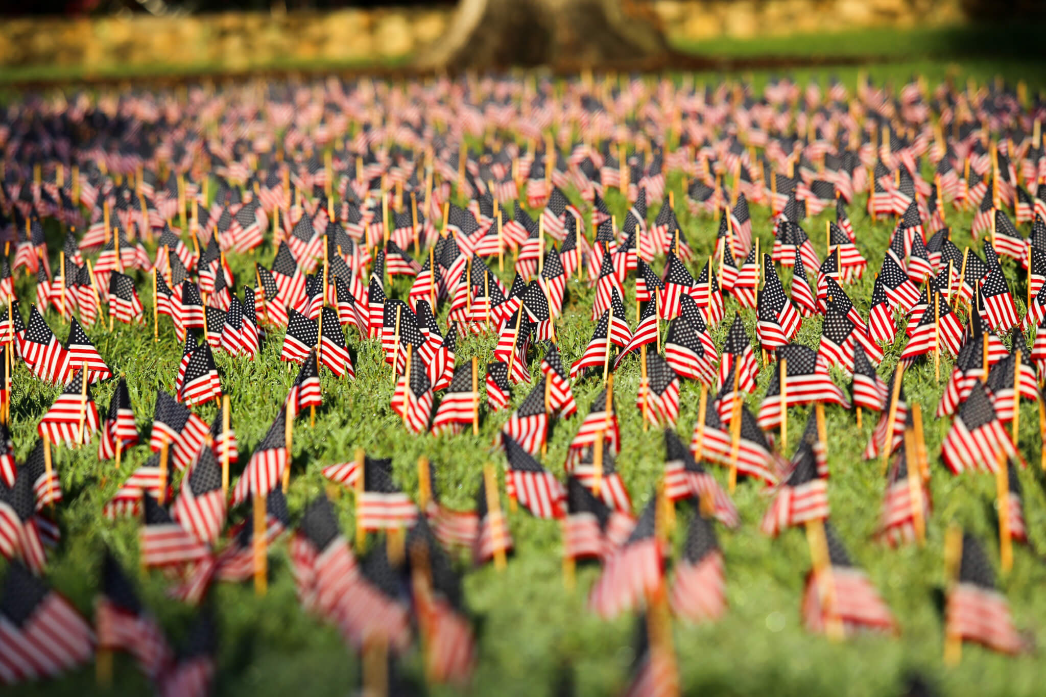 Flags on Polk Place.