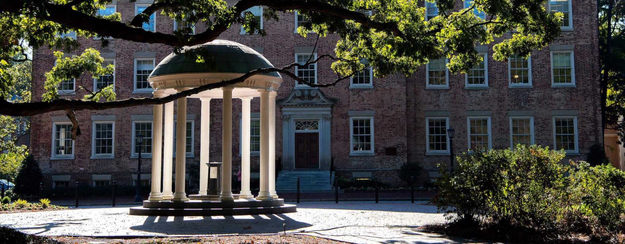 Old well sits under a blooming tree