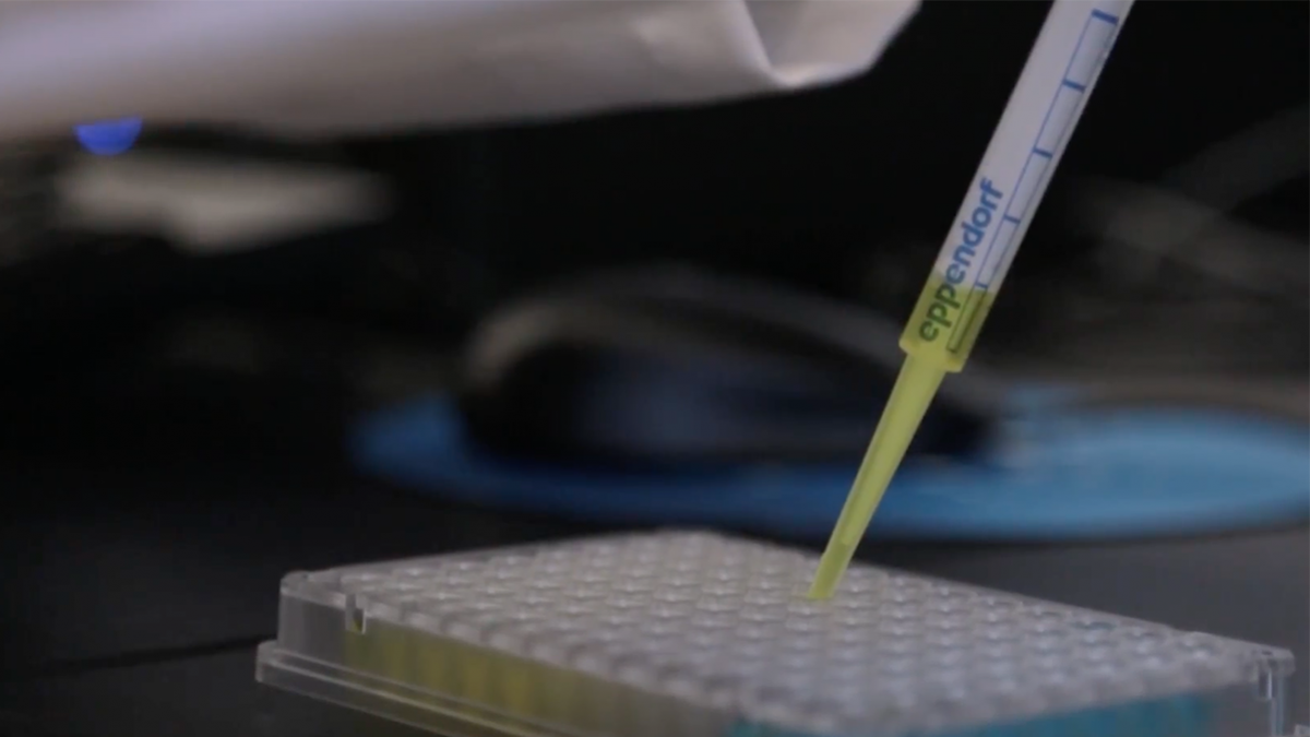 Researchers work in lab.