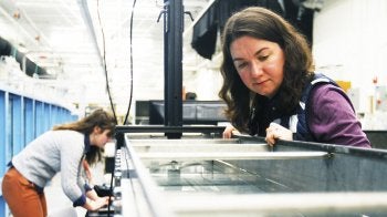 Kaylyn Gootman observes the water in the racetrack flume.