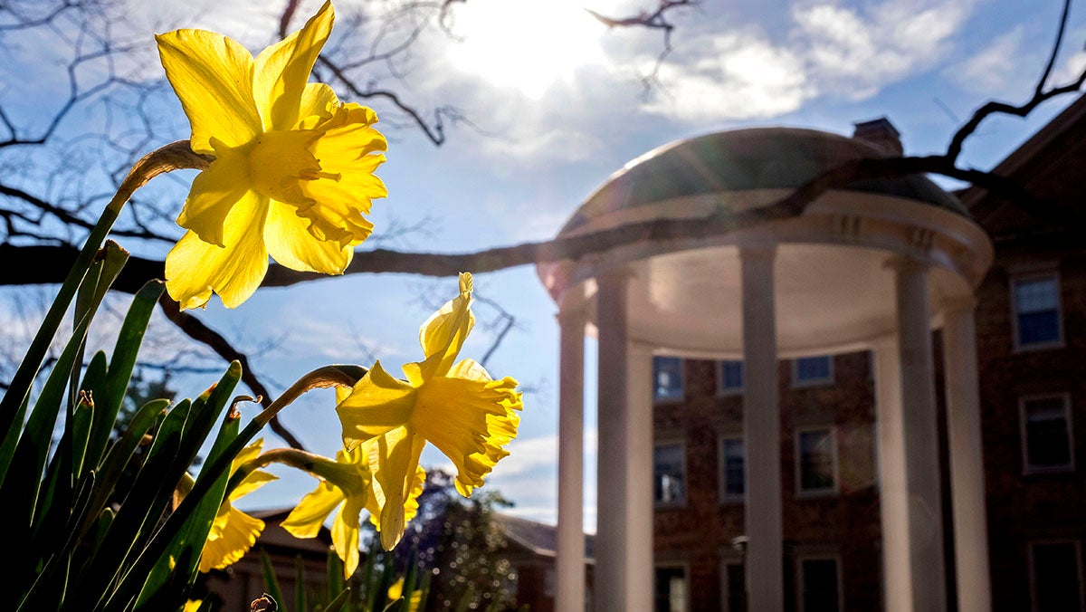Old Well in the spring.