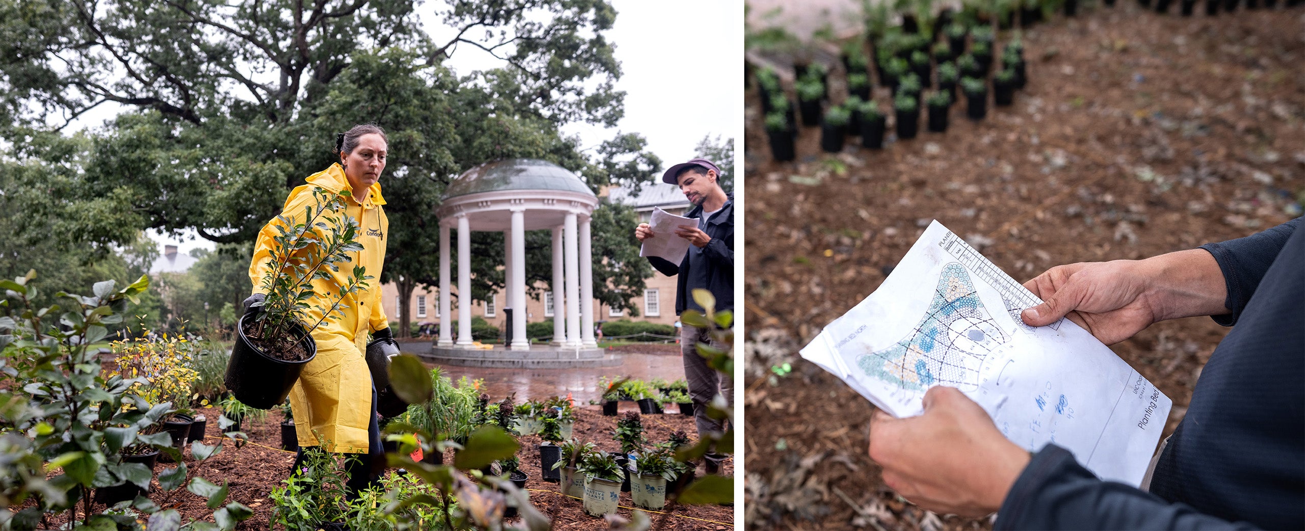 Two photos, side by side: One of a worker carrying plants by the Old Well, and another of a person holding a blueprint.
