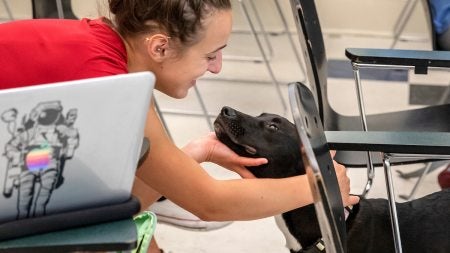 A student pets a dog.