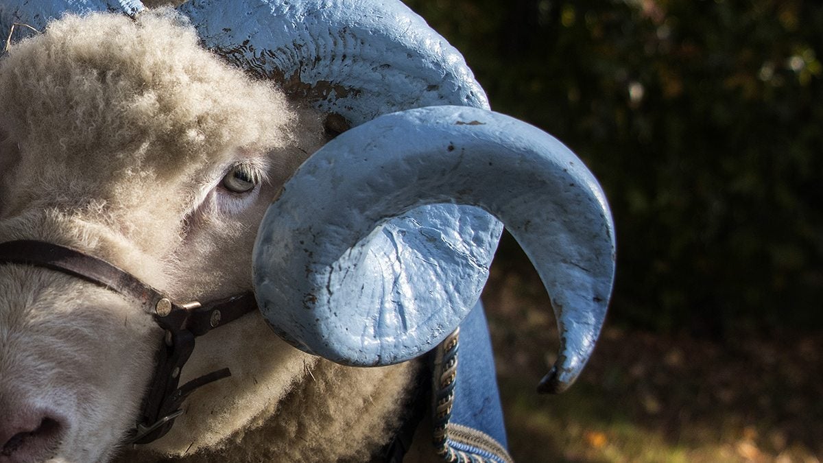 Rameses