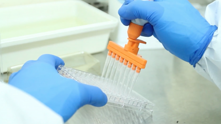 A person works in a research lab.