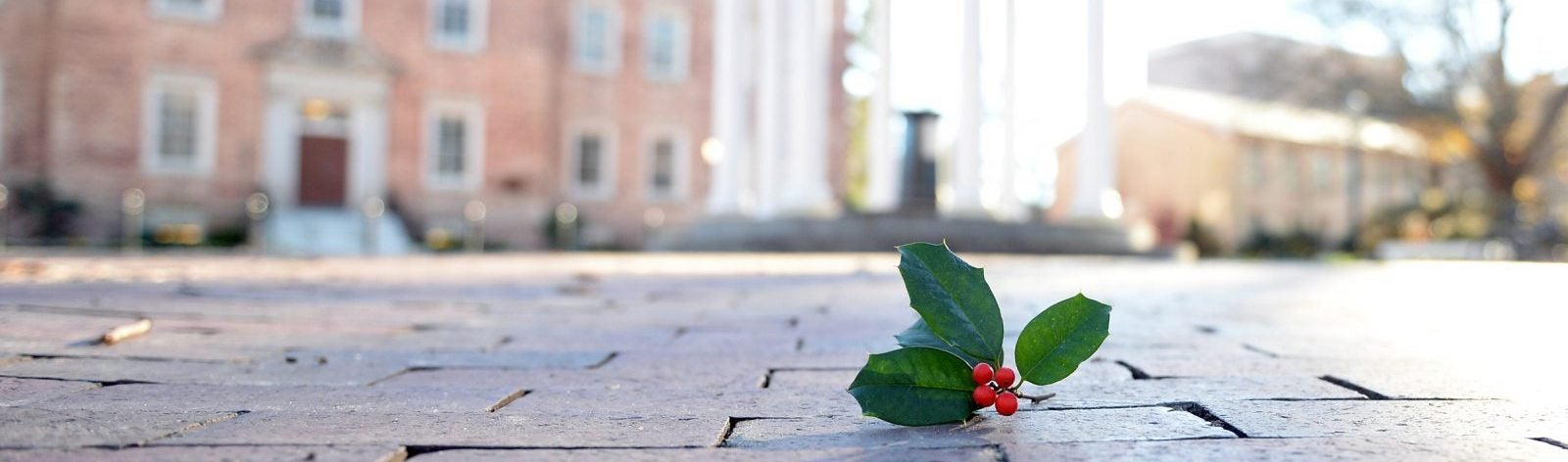 A holly branch on the ground in front of the Old Well.