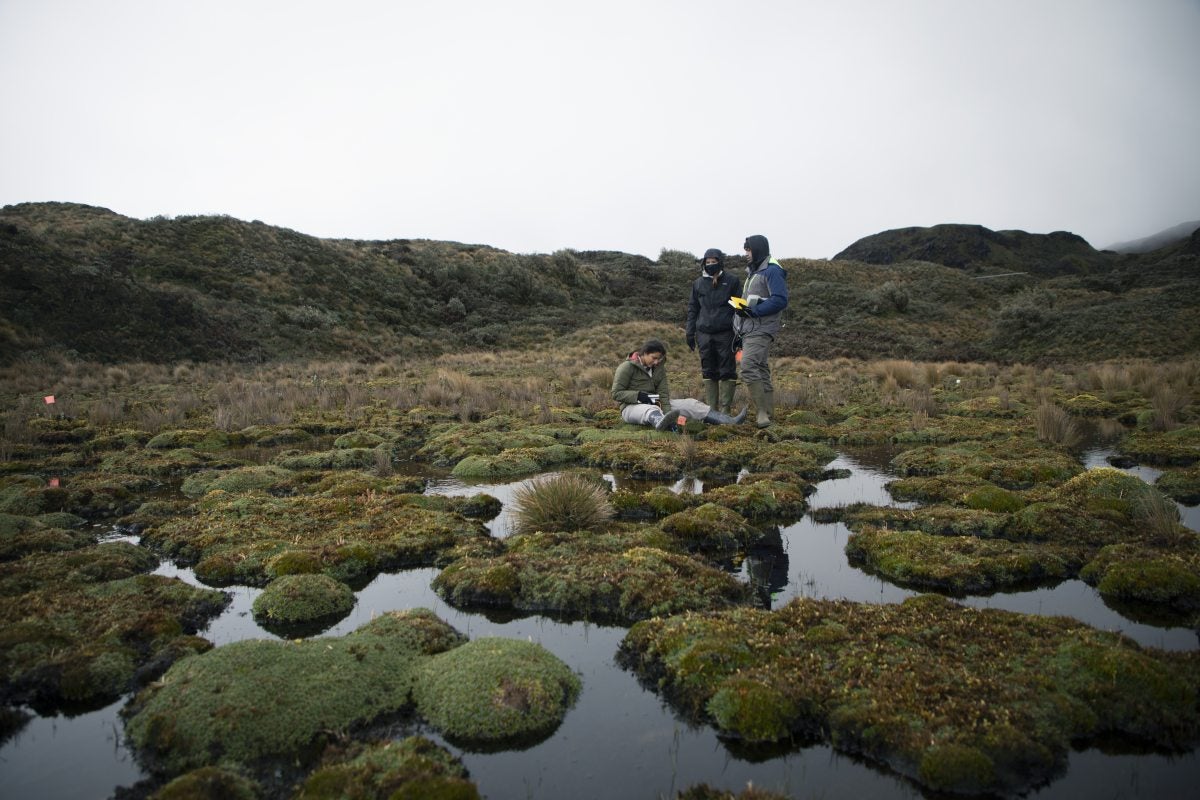 Students work in a marsh.