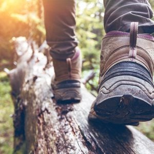 A person hiking in the woods.