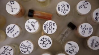Viles of organic compounds sit on a table.