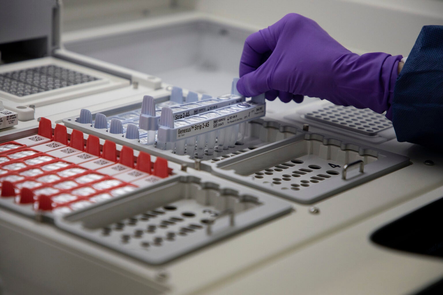 A hand holds COVID-19 test samples.