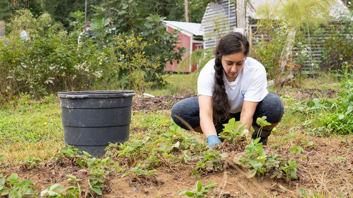 A woman gardening