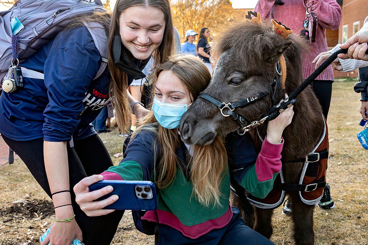 A student takes a photo with a miniture horse.