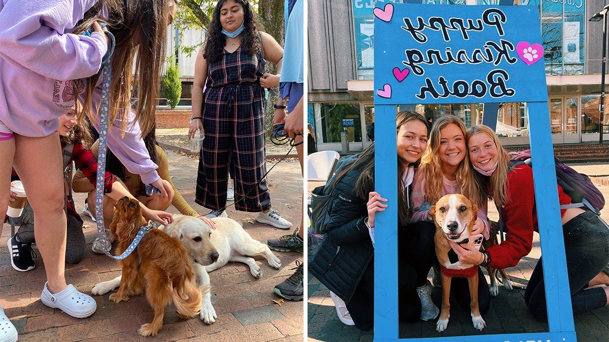 Left: Helping Paws hosts a Puppy Kissing Booth to raise money for local animal rescues. Right: Helping Paws volunteers bring dogs to the Pit for students to play with during exams.