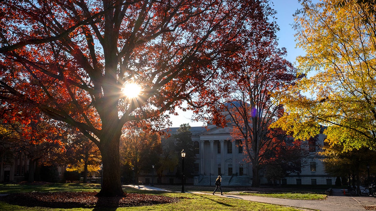 Trees with yellow and red leaves in front of Wilson Library.