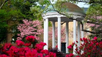 Old Well with spring flowers