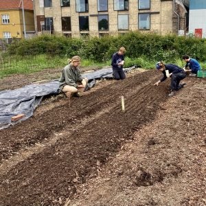 Five people working on a small farm in dirt.