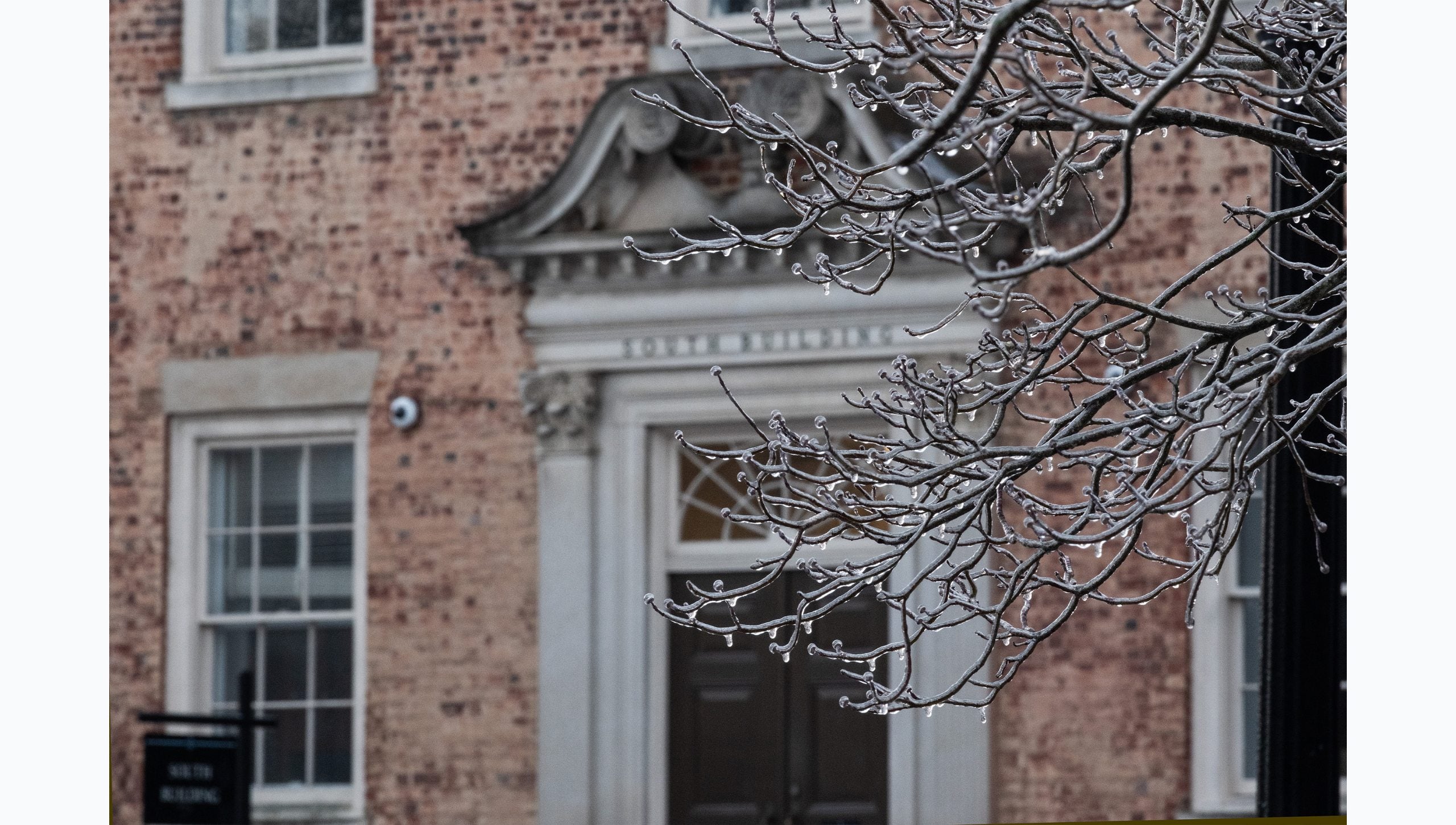 Tree limbs covered in ice and snow on the campus of U.N.C Chapel Hill. South Building is seen in the background.