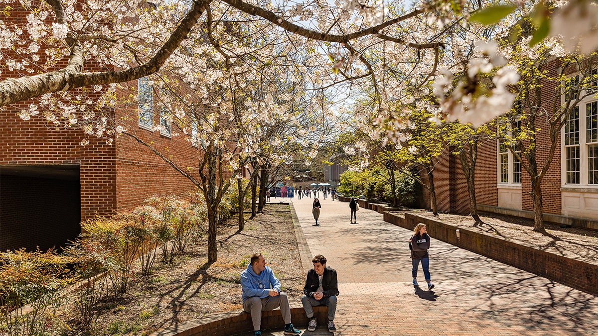 Exterior image of spring day on campus.