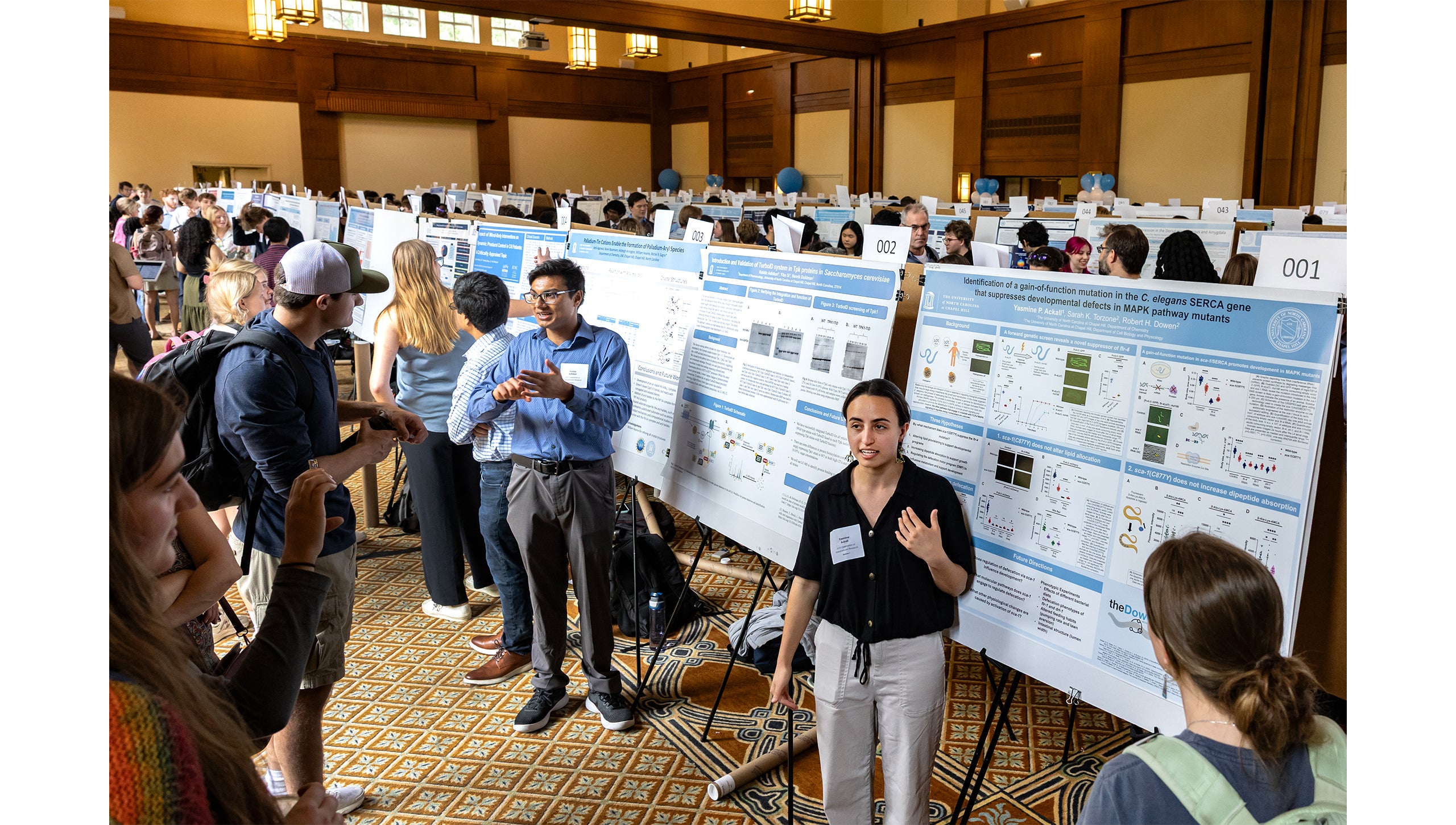 Students stand in front of posters explaining their research