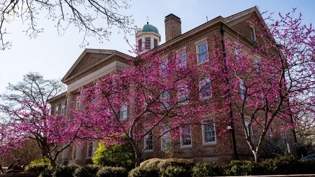 Spring flowers in front of South Building at U.N.C. Chapel Hill