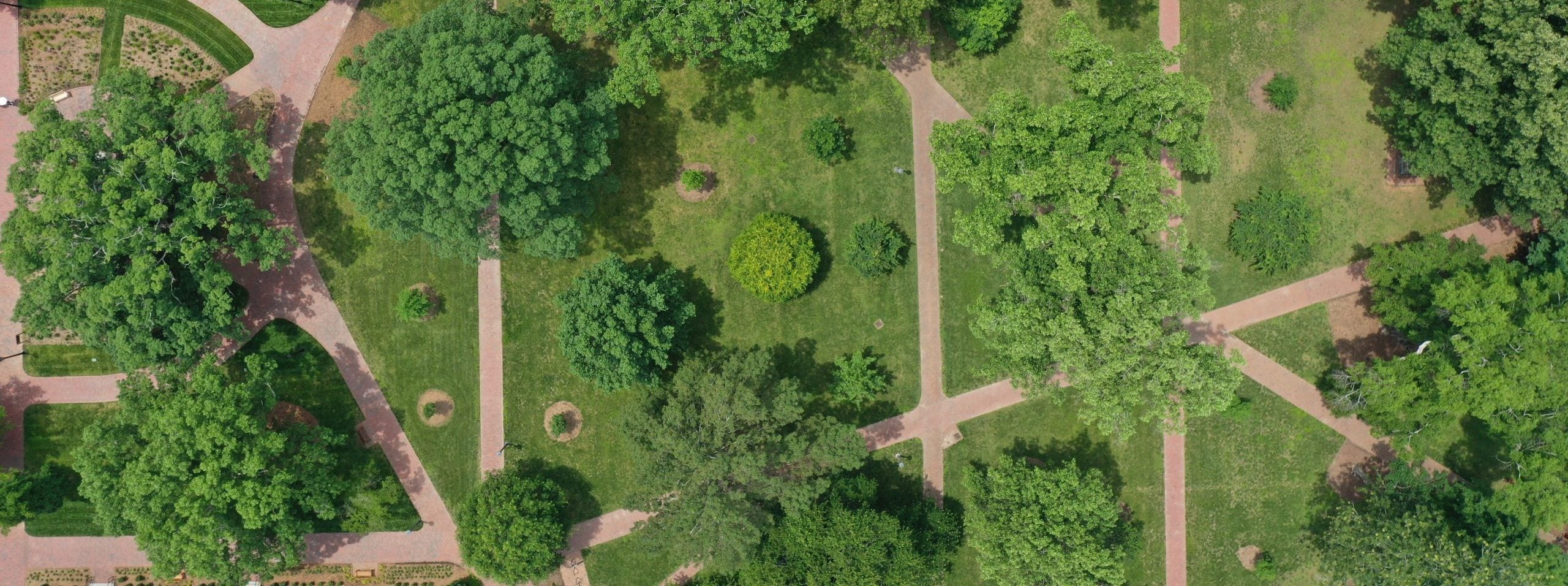 An overhead shot of trees and pathways on U.N.C. campus.