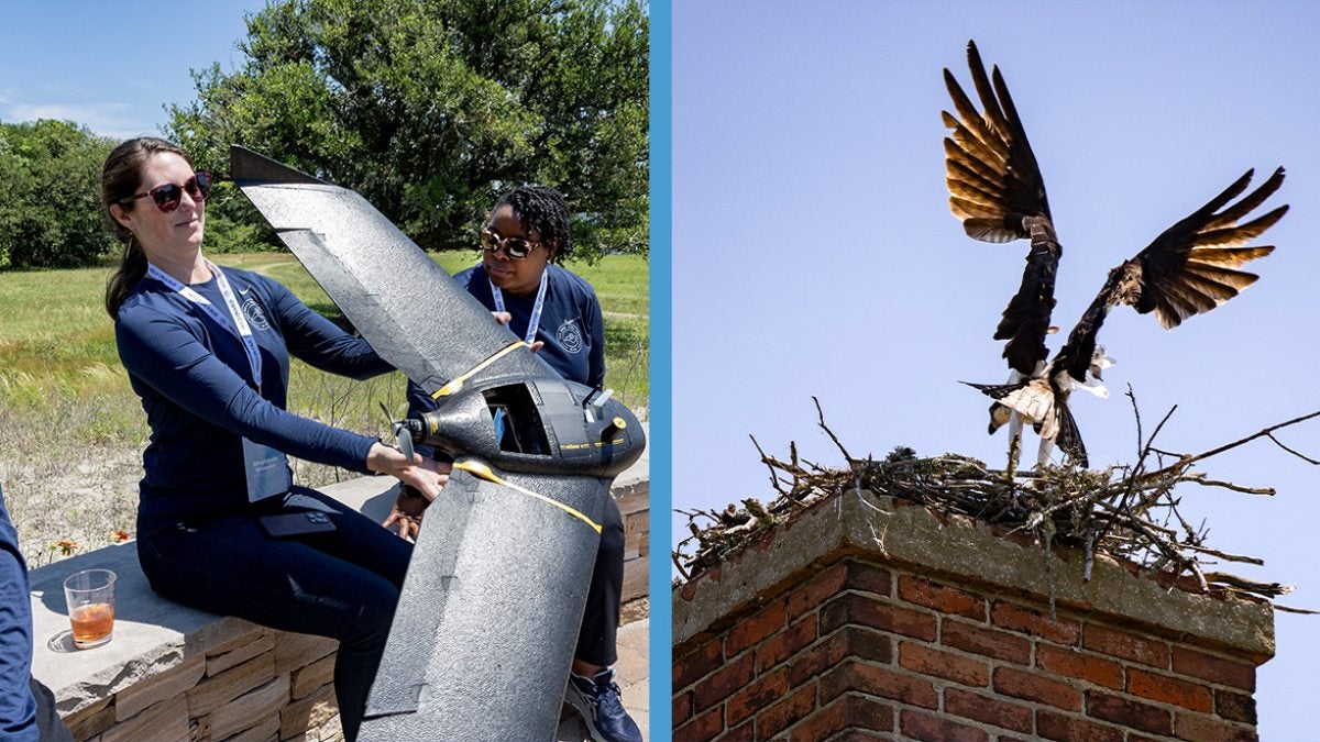 Two-photo collage: Bus Tour attendee holding a drone; and large bird landing atop a chimney.