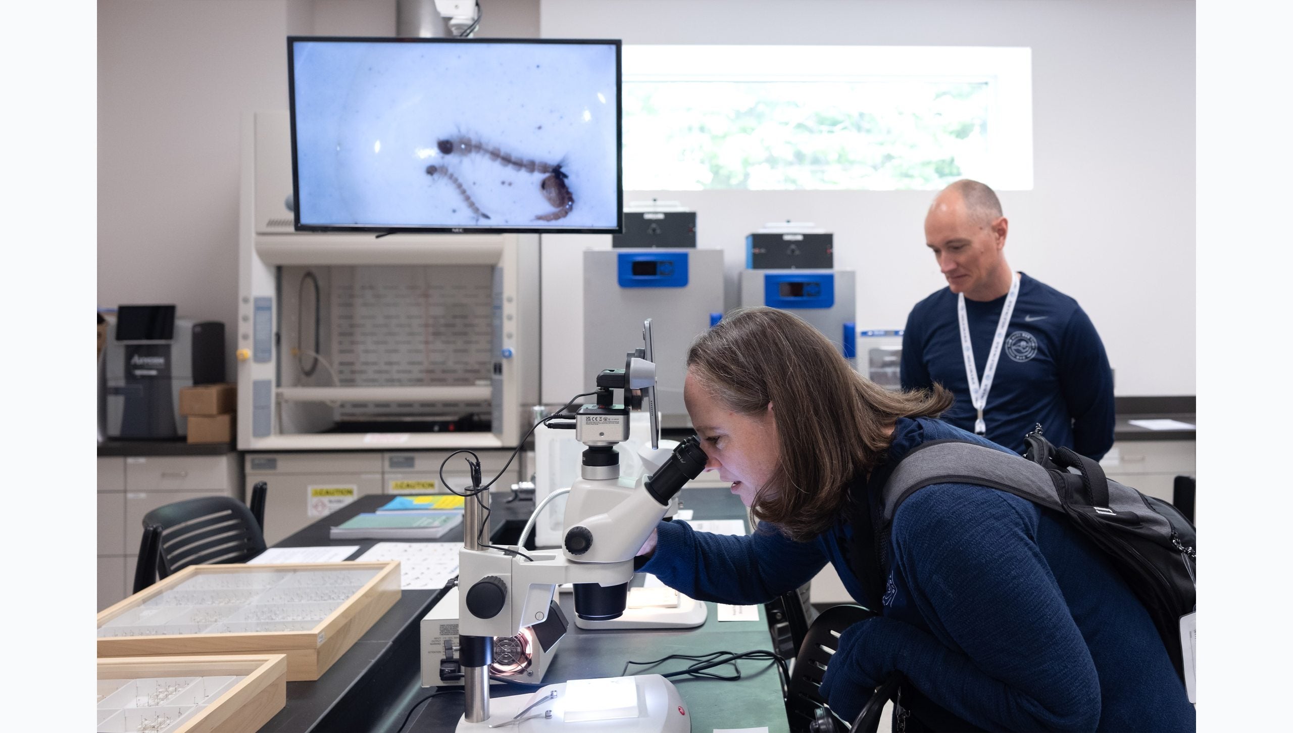 Tar Heel Bus Tour participant looking into a microscope in a laboratory.