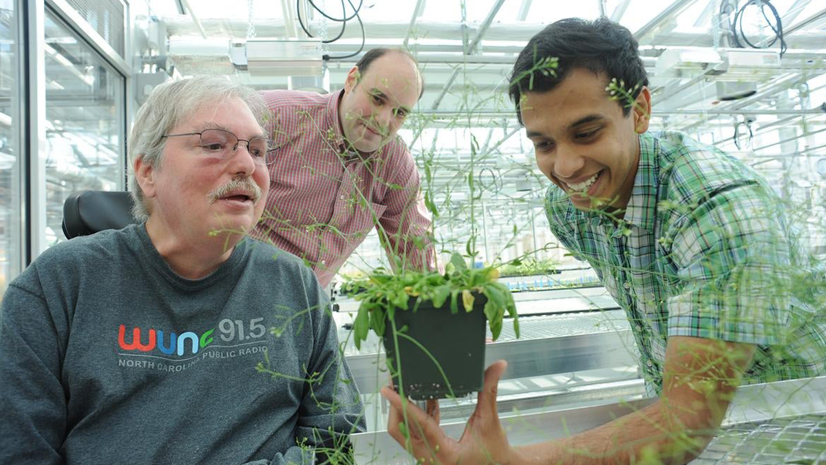 Jeffery Dangl looking at plant.
