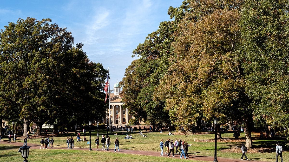 Polk Place on a sunny day