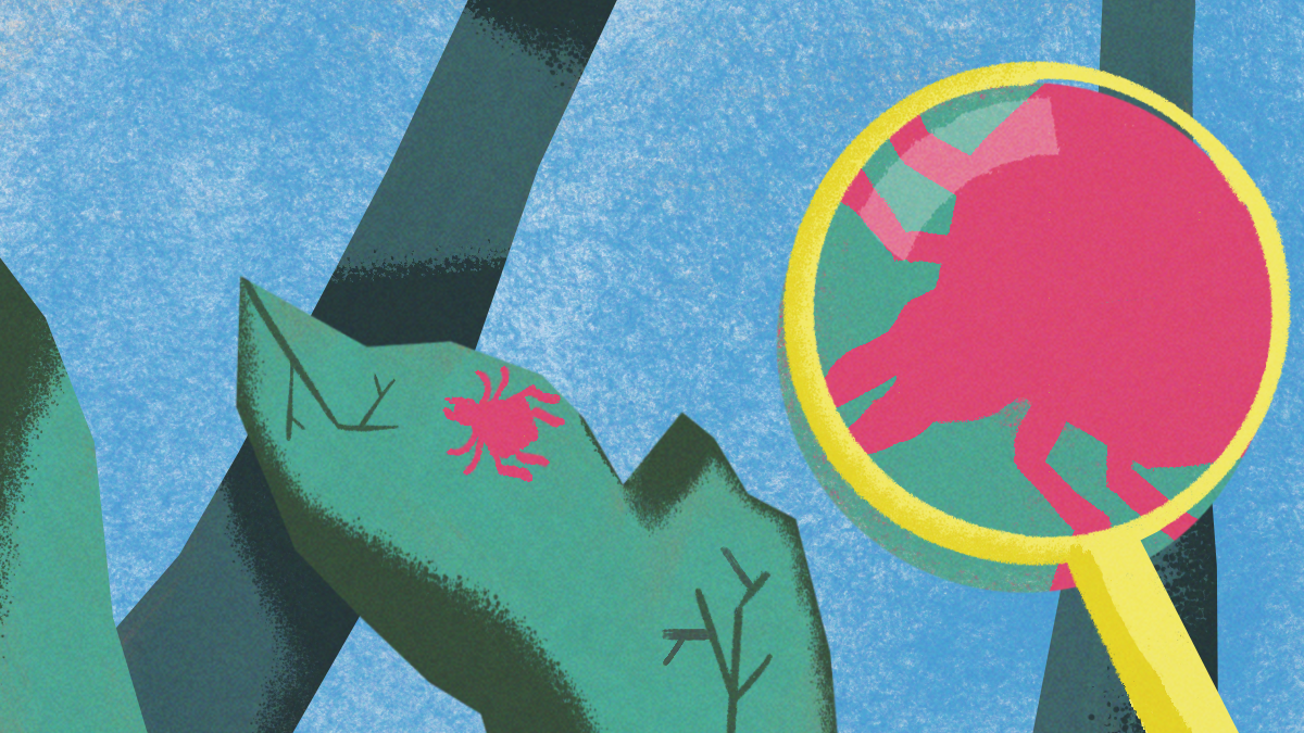 A illustration of a bright red tick on a leaf with a magnifying glass implying that the tick is extremely small to the human perception.